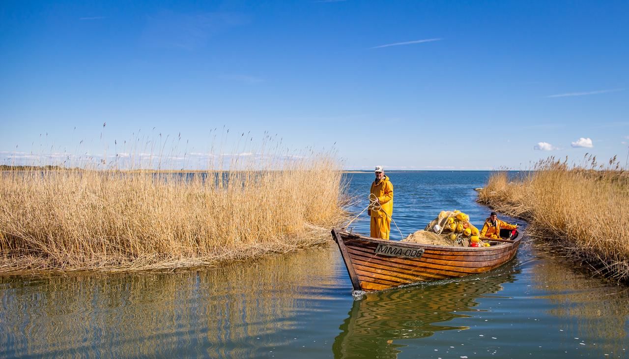 Дома для отпуска Kassariotsa Holiday House Kassari